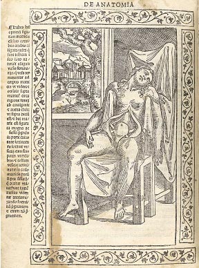 The Horned Uterus Renaissance anatomical woodcut of a seated woman with the womb opened to show the uterine horns