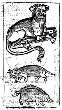 From the title-page verso of Griffith's 1570 edition of William Baldwin's Beware the Cat