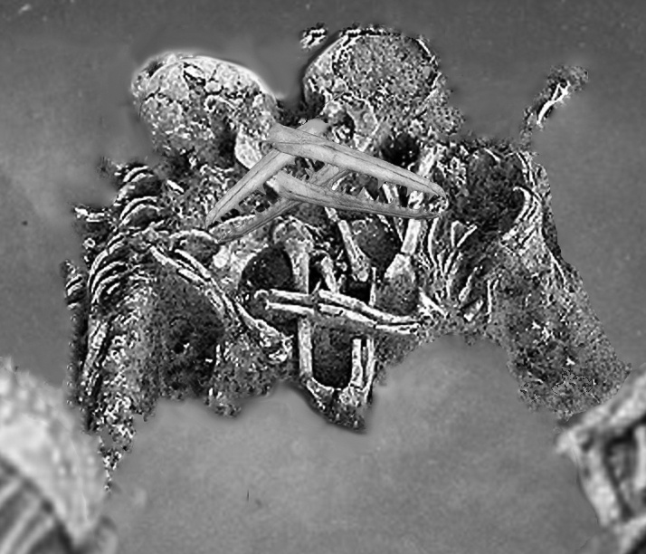 Jack Swink's discovery near Dover. Could they be the bones of Regan and Goneril?
