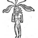 Illustration for “Reuben's Mandrakes”