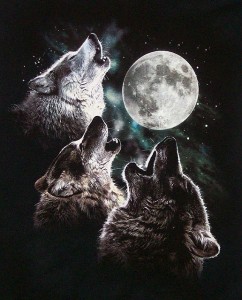 Three Wolves Howling at the Moon