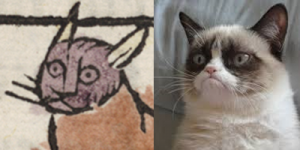 GrumpyCats-SideBySide