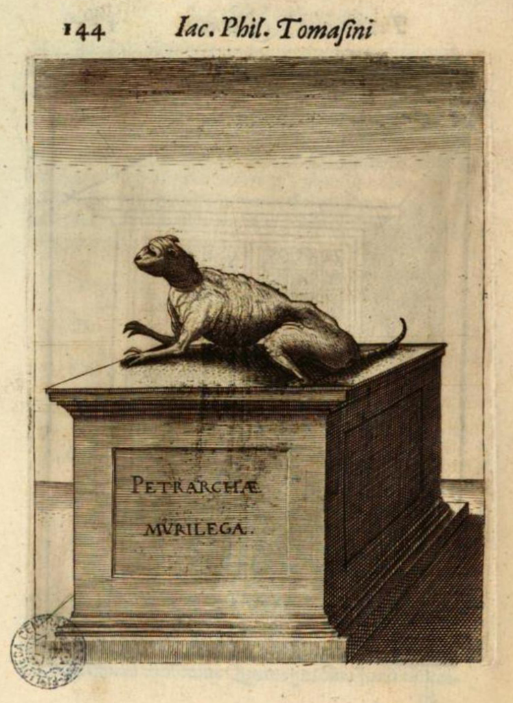Earliest image of Petrarch's Cat found in Tomasini, p. 144