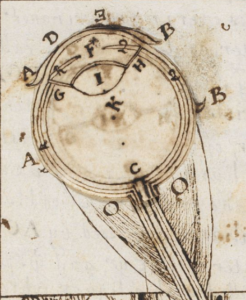 Detail of the ocular anatomy in Thomas Hobbes' “A Minute or First Draft of the Optiques” (BL Harley MS 3360), f. 6r.